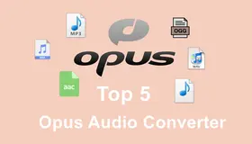 Opus Converter