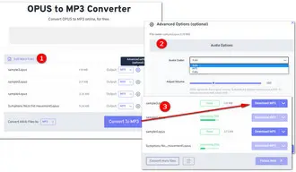 How to Convert Opus audio to MP3 Online