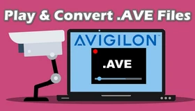 Play and Convert AVE File