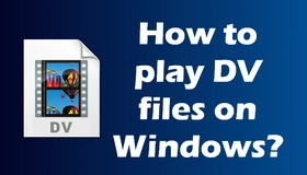 Play DV Files