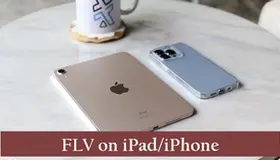 FLV on iPad