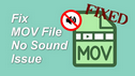 Fix MOV File No Sound