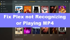 Plex MP4