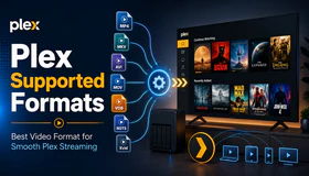 Plex Supported Formats