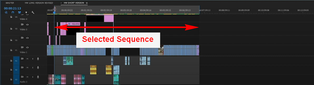 Select Sequence to be Exported
