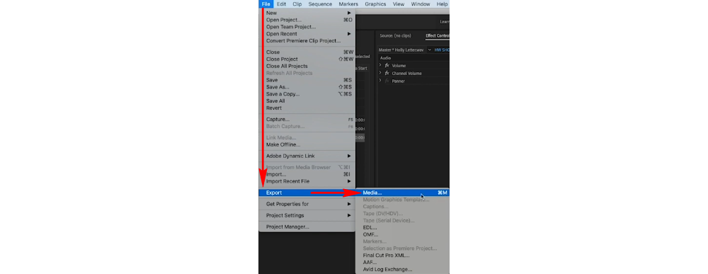 symmetri Zoom ind hellig Premiere Pro Export MP4] How to Save Adobe Premiere Project as MP4?