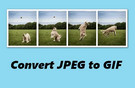 Convert JPEG to GIF