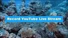 Record YouTube Live Stream