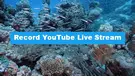 Record YouTube Live Stream