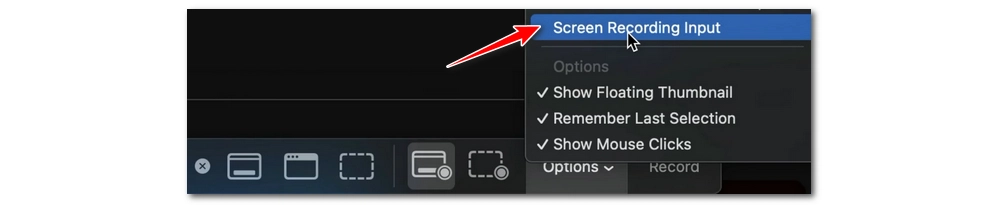 Select Screen Recording Input