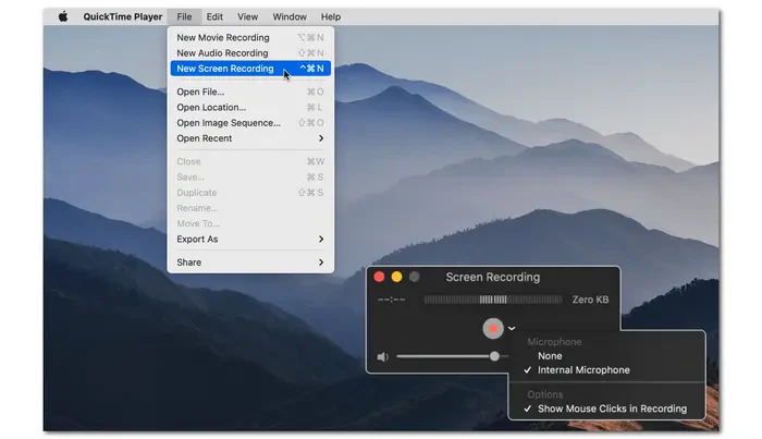 Record Browser Video with QuickTime Player