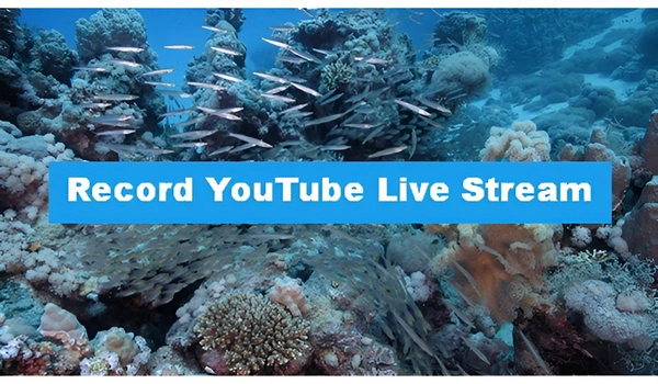 YouTube Live Recorder