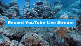 Record YouTube Live Stream