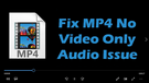 MP4 Only Plays Audio