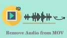 Remove Audio from MOV
