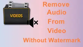 Remove Audio from Video Without Watermark