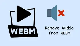 Remove Audio from WEBM
