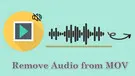 Remove Audio from MOV