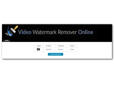 How to Remove Watermarks from Videos Online