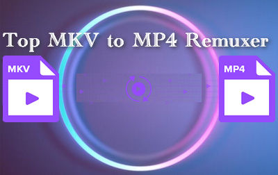 Top MKV to MP4 Remuxer
