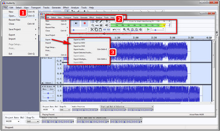 Rip CD to MP3 Audacity