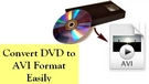 DVD to AVI