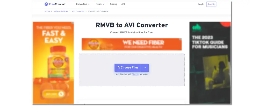 FreeConvert RMVB AVI Conversion