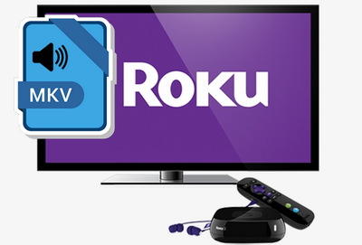 How to Fix MKV Roku No Sound