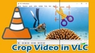 Crop Video in VLC