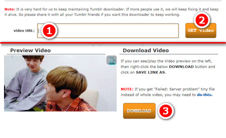Save Video from Tumblr via Online Site