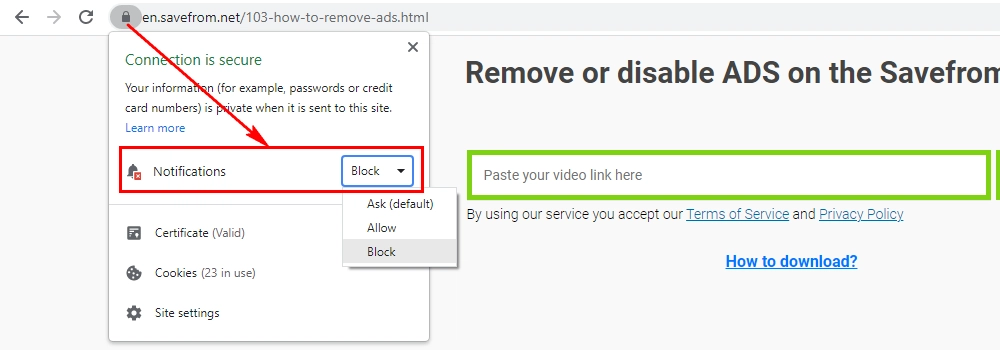 SaveFrom.Net Review - Block Notifications