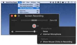 QuickTime Record Screen without Noise