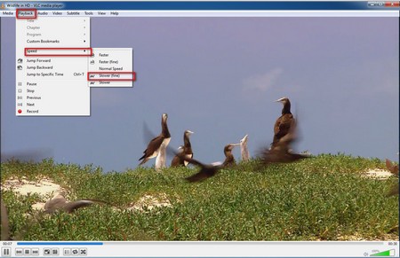 windows media player play video in slow motion