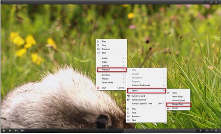 Jaksta Media Player to play a slow motion video