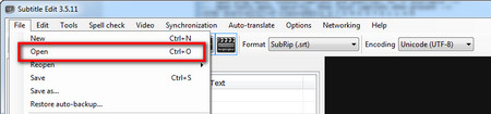 Load the original subtitle file into the program 
