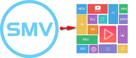 Convert SMV to Other Formats