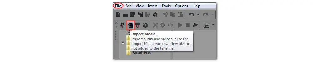 Sony Vegas Import Video