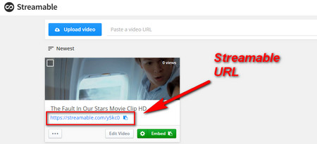 Streamable video URL