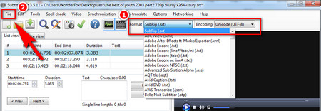 Export when SUB SRT Conversion is Done