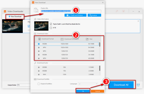 The Whole Music Download Process