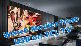 TCL TV Supported Video Format