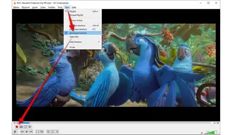 How to Split Video with VLC