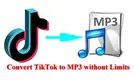 Convert TikTok to MP3