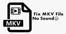 Solve MKV File No Sound