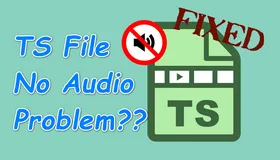 TS File No Audio