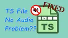 TS File No Audio Fixed