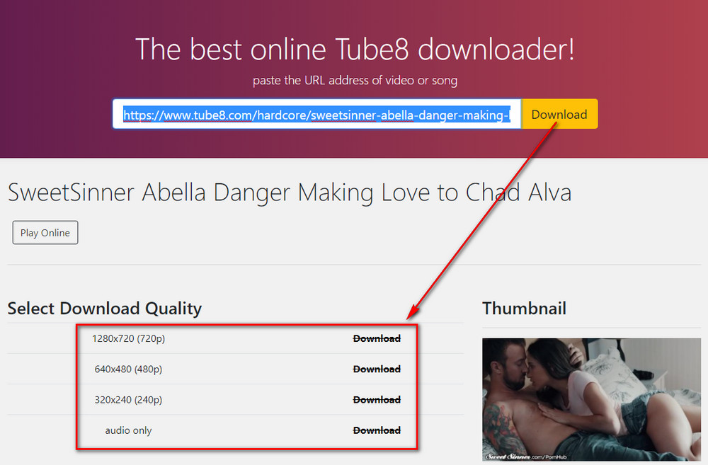 Online Tube8 Downloader