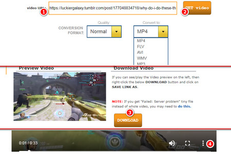 Convert Tumblr Videos to MP4/MP3 Online