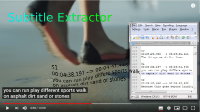 Subtitle extractor
