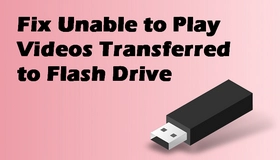 Flash Drive Unable to Play Videos